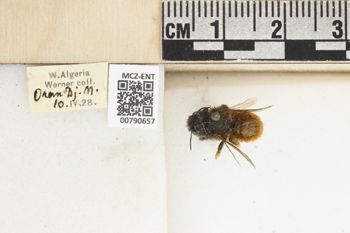 Media type: image;   Entomology 790657 Aspect: Labels